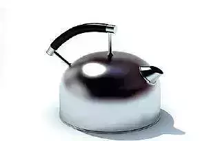 BOILER tea kettle