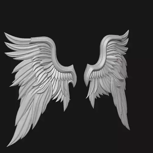 Wings