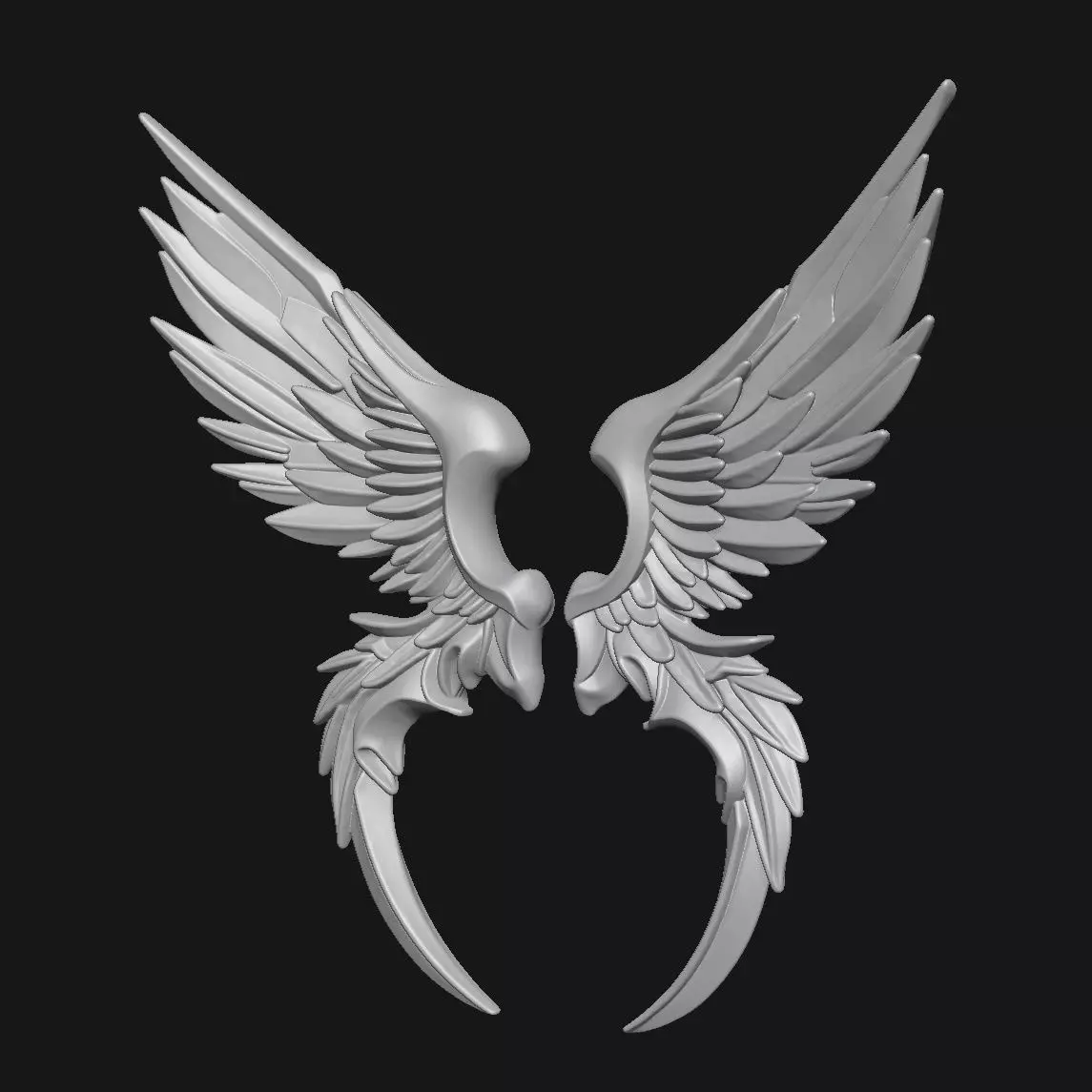 Wings 3D print model_2