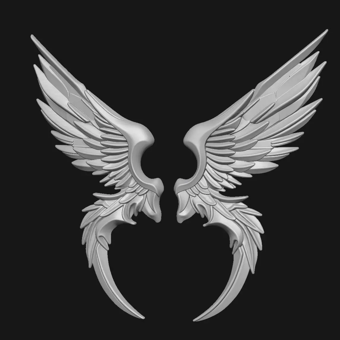 Wings 3D print model_0