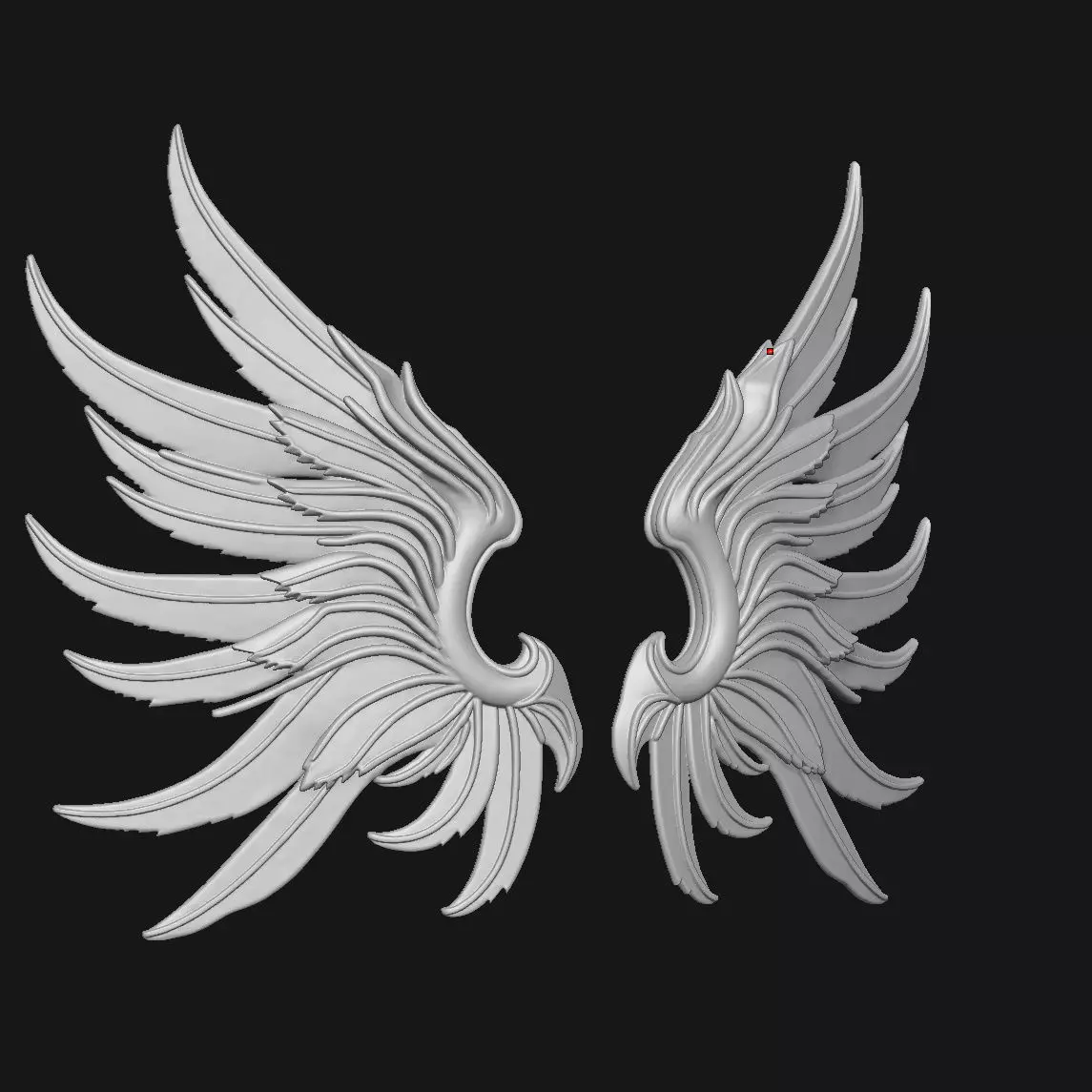 Wings 3D print model_0