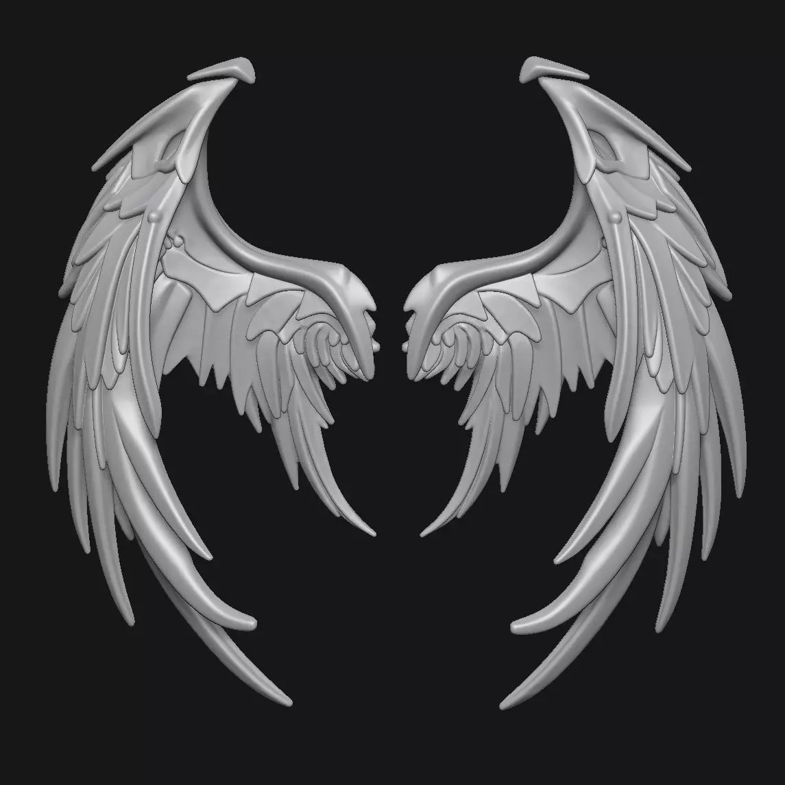 Wings 3D print model_3