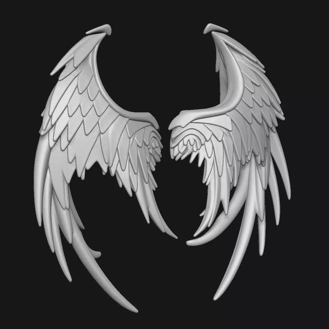 Wings 3D print model_2