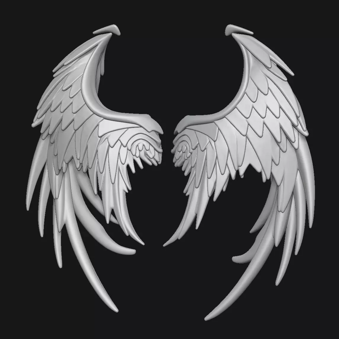 Wings 3D print model_1