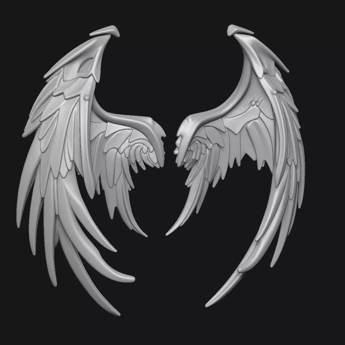 Wings 3D print model_0