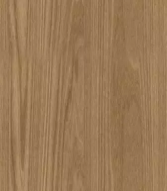 3D Model of Southeast Asian 3D model_0