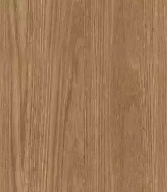 3D Model of Southeast Asian