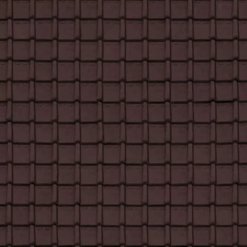 3D Model of Southeast Asian 3D model_10