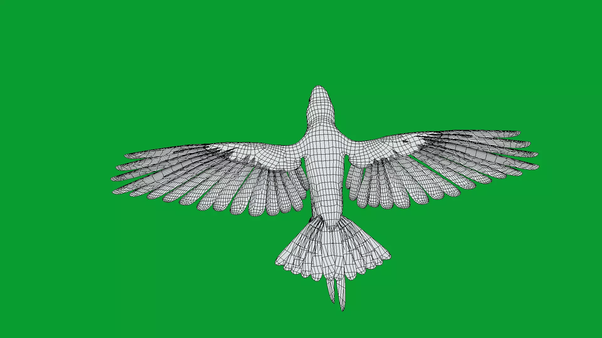 Spix Macaw Bird Low-poly 3D model_18
