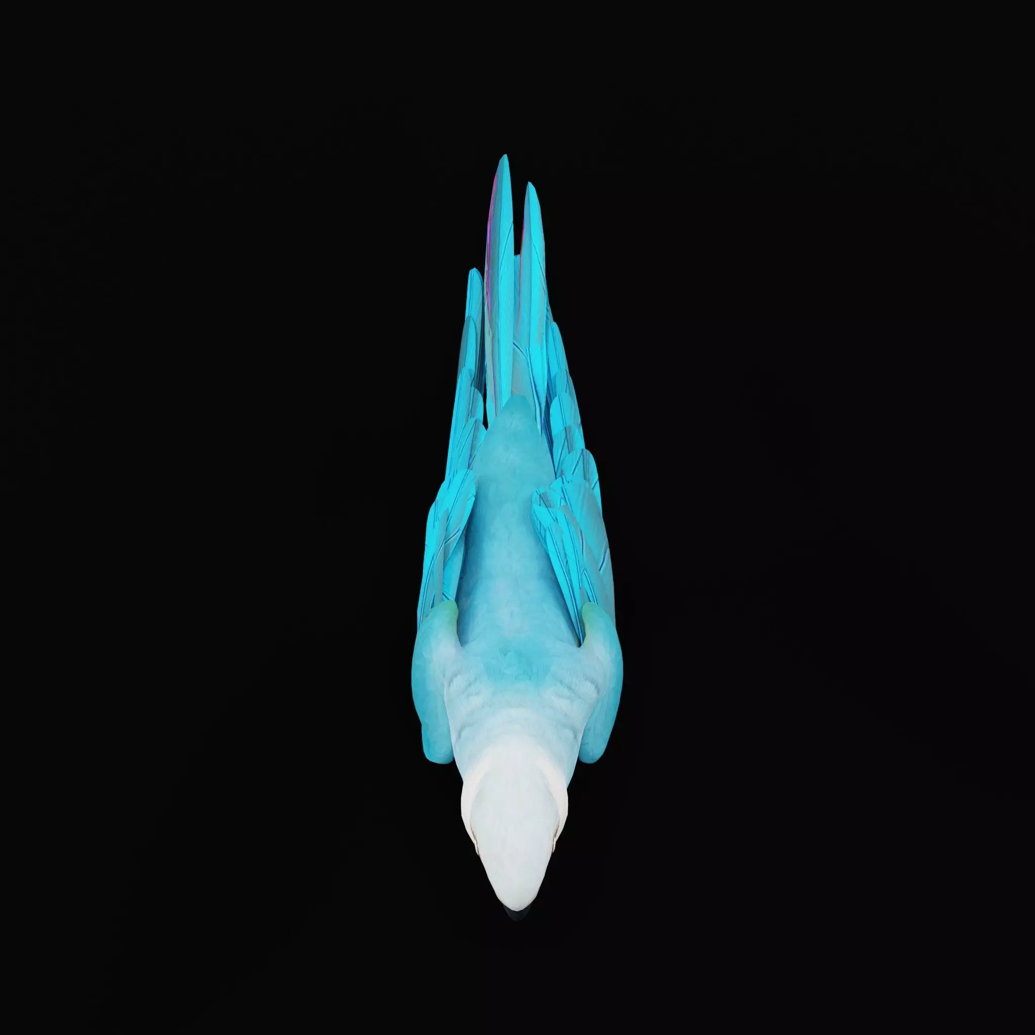 Spix Macaw Bird Low-poly 3D model_34