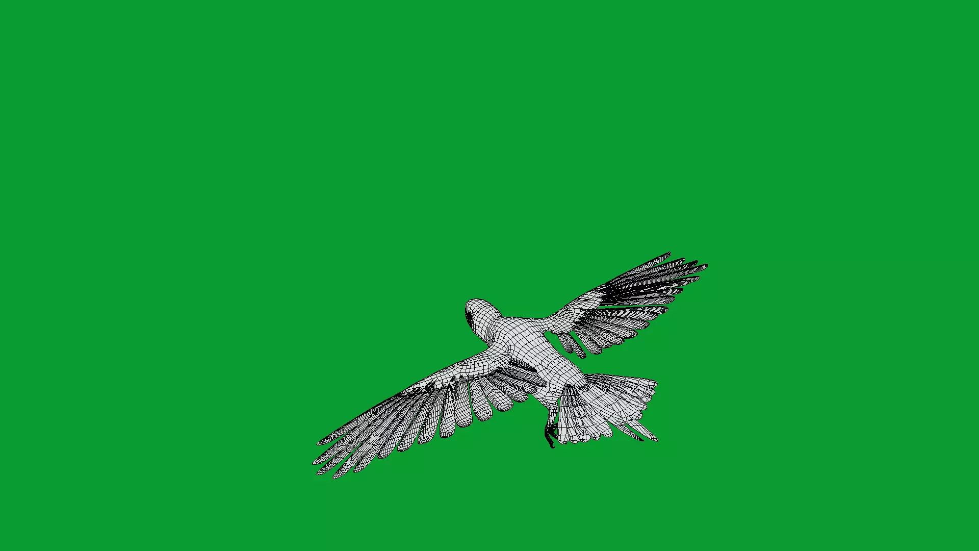 Spix Macaw Bird Low-poly 3D model_14