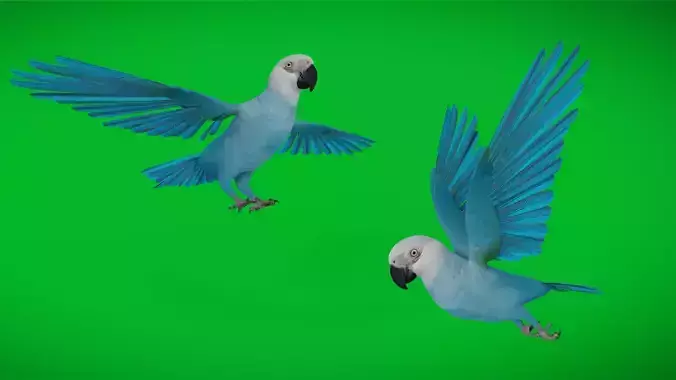 Spix Macaw Bird Low-poly 3D model Spix Macaw Bird Low-poly 3D model