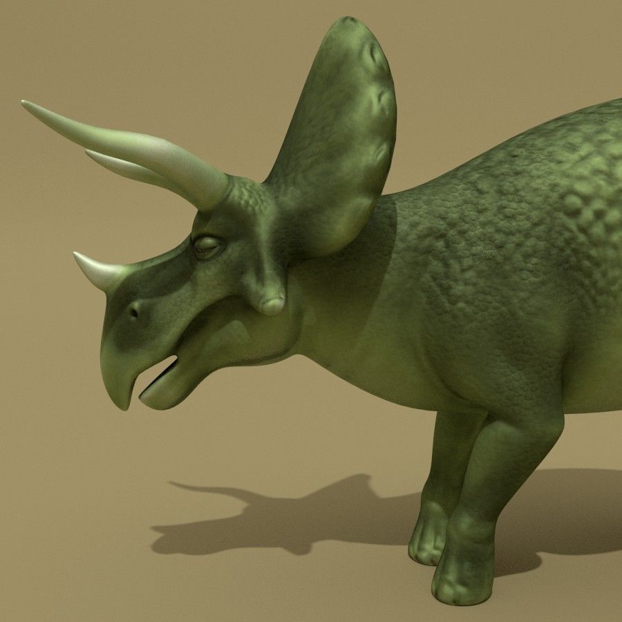 Triceratops Rigged Low-poly 3D model_4