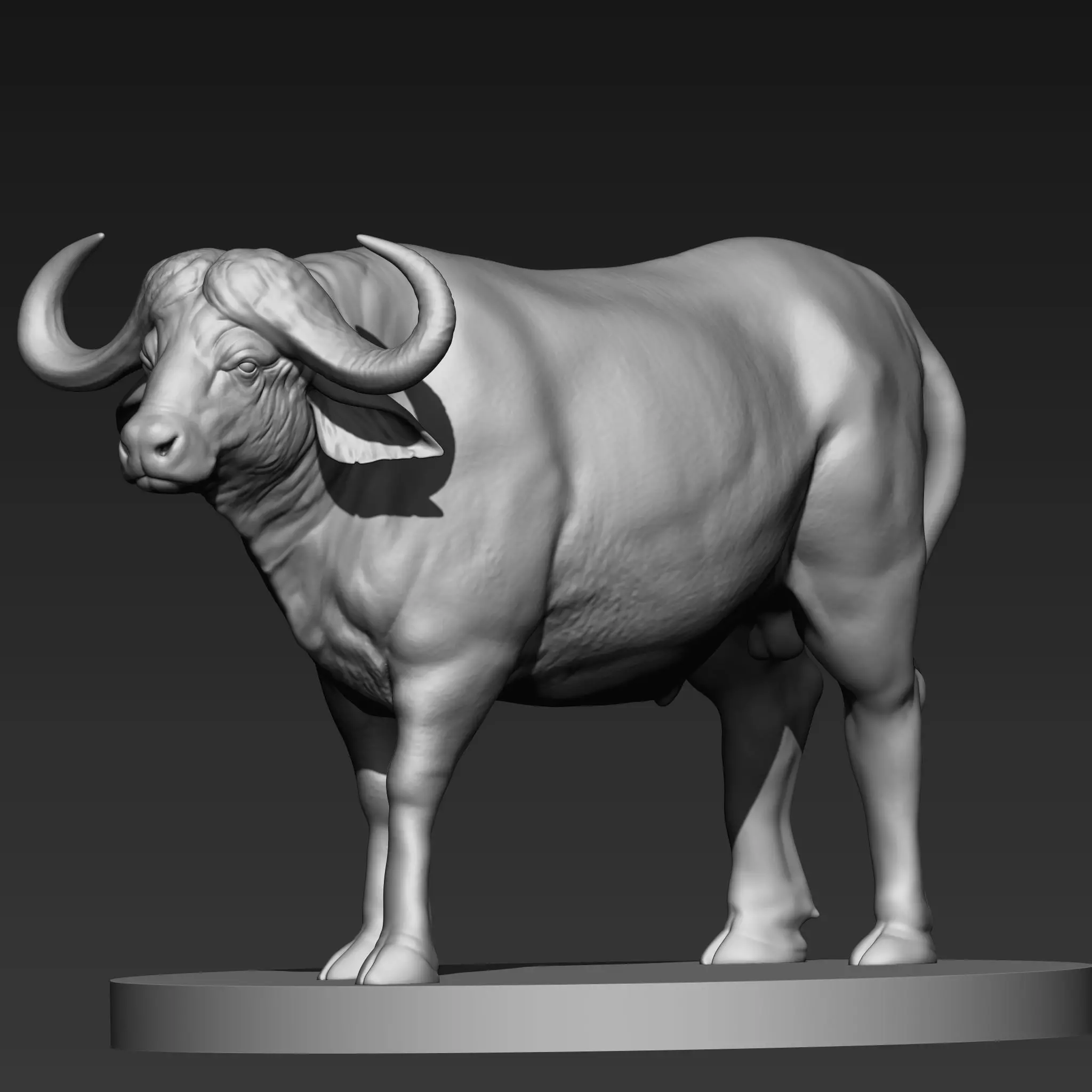 buffalo 3D print model_1