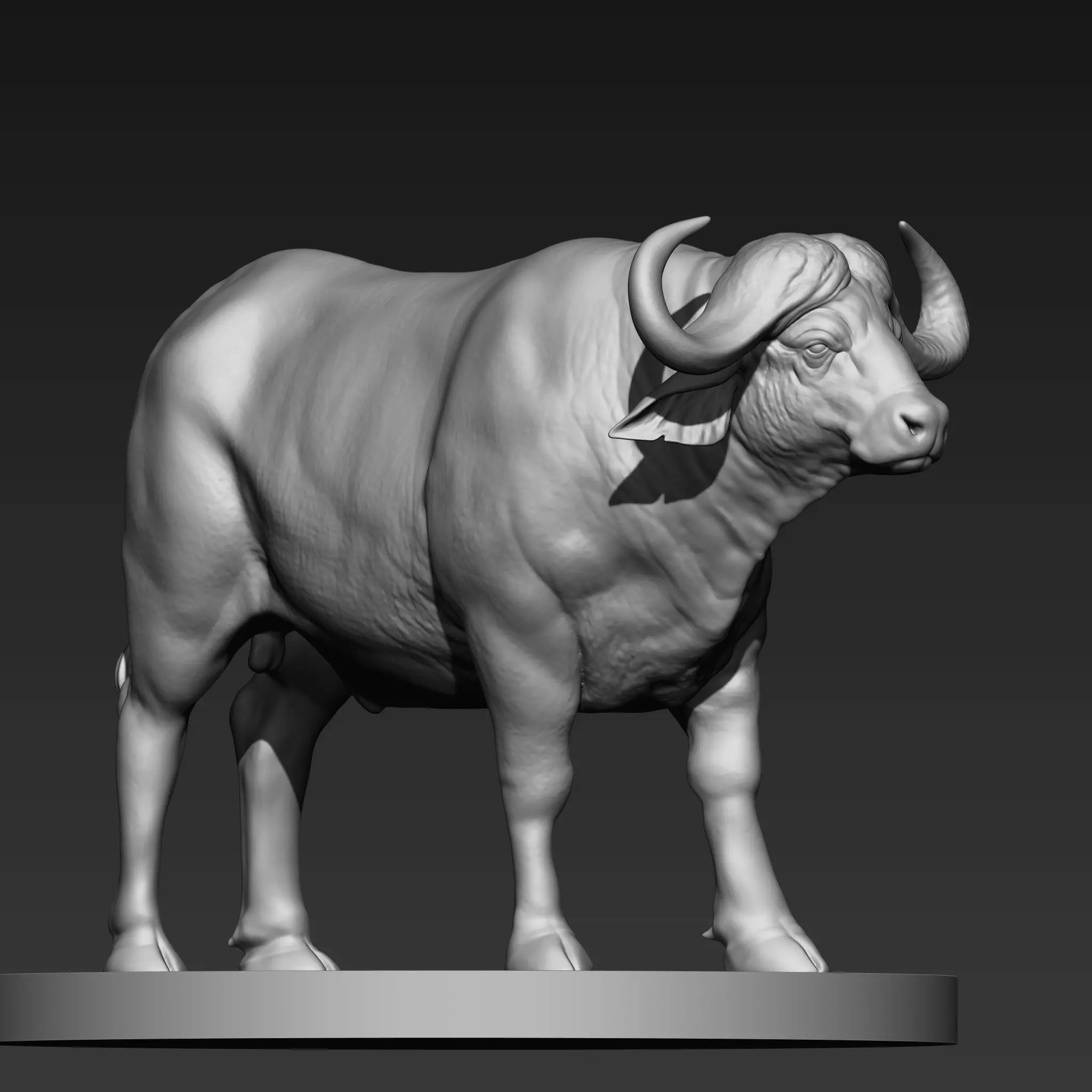 buffalo 3D print model_3