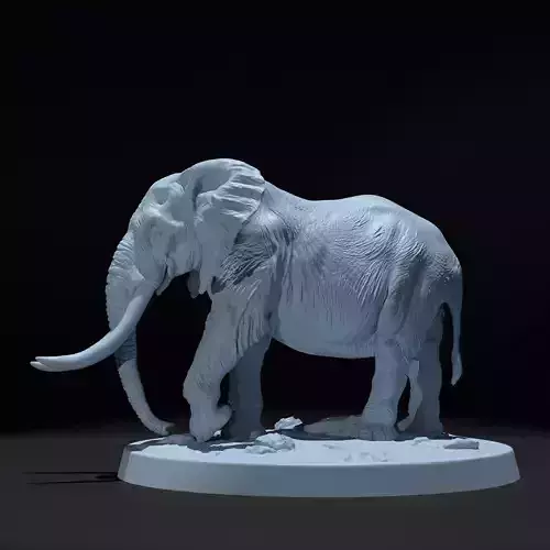  Elephant 3D Print Model 