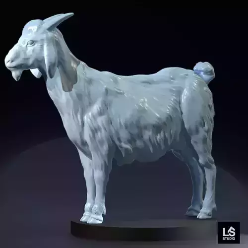 goat 3d model