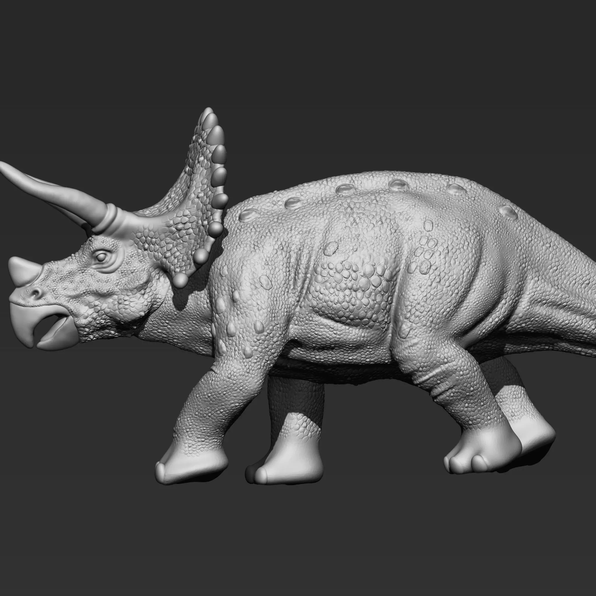 Triceratops 3d model 3D print model_3