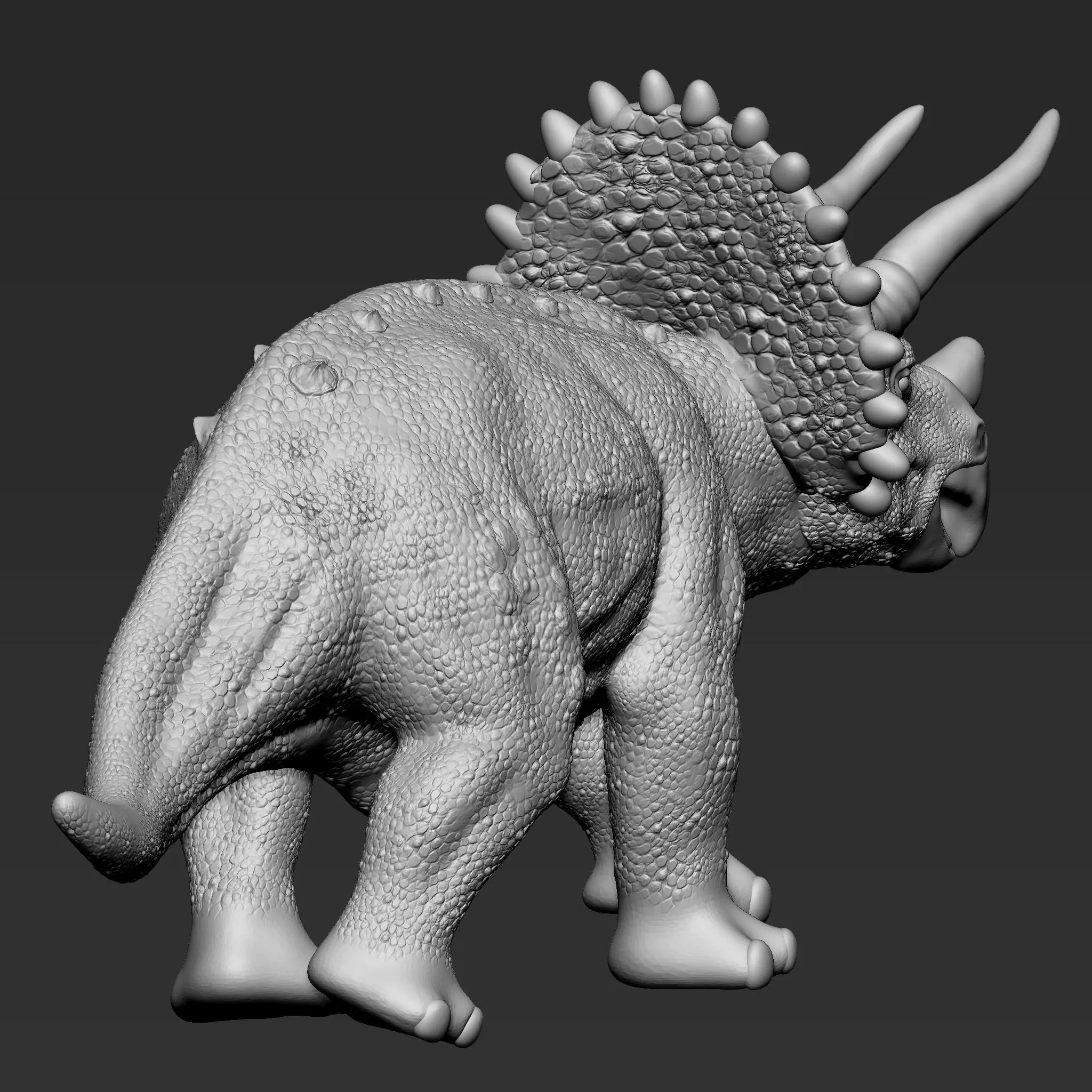 Triceratops 3d model 3D print model_1