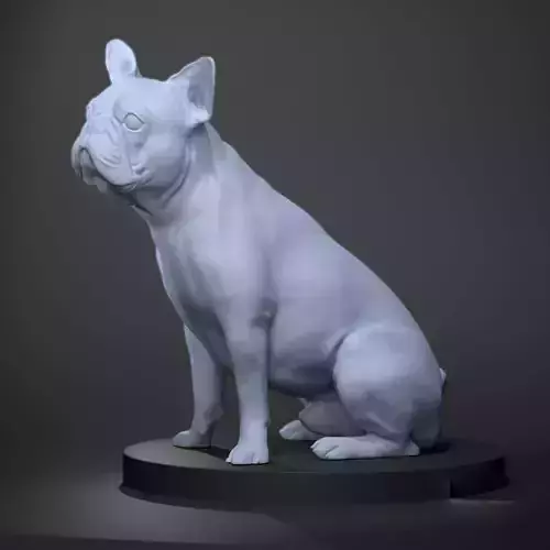 Chihuahua 3d Model