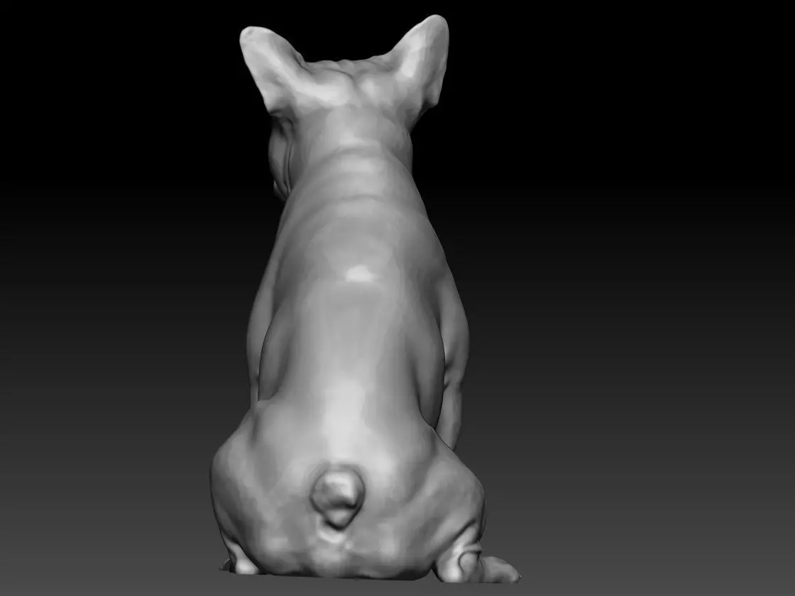 Chihuahua 3d Model 3D print model_3