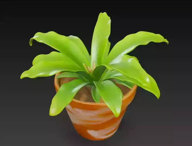Potted Plant 3D Model 3D model