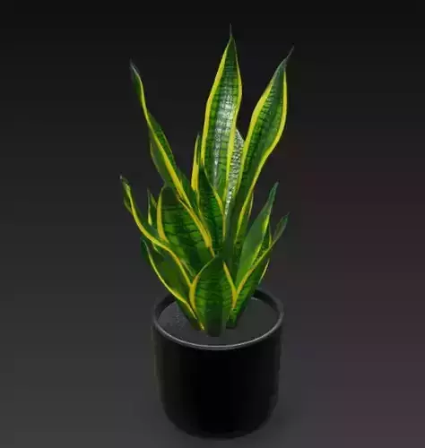 Realistic 3D Pot Plant