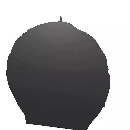 2530Halloween Witch with Spell book Skull Raven and Pumpkin 3D print model_22