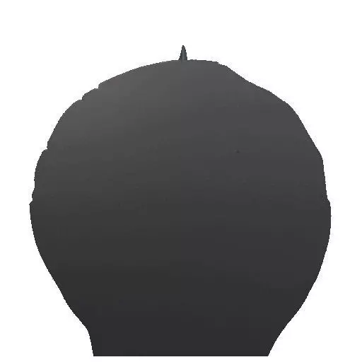 2530Halloween Witch with Spell book Skull Raven and Pumpkin 3D print model_23