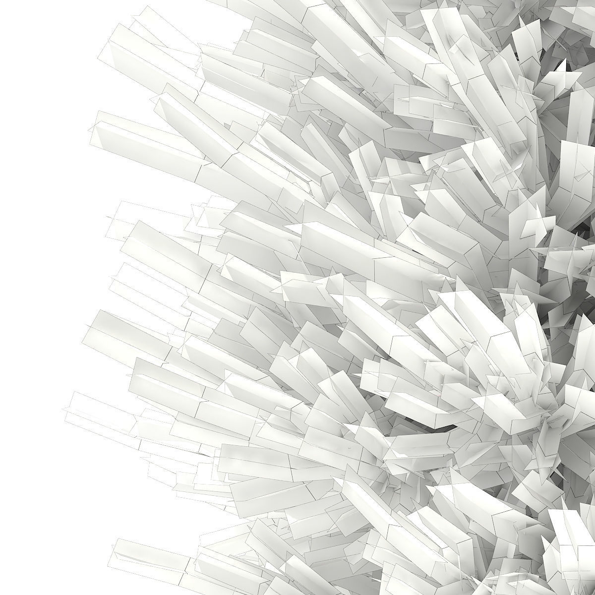 Norway Spruce Picea abies 2m 1 3D model_5