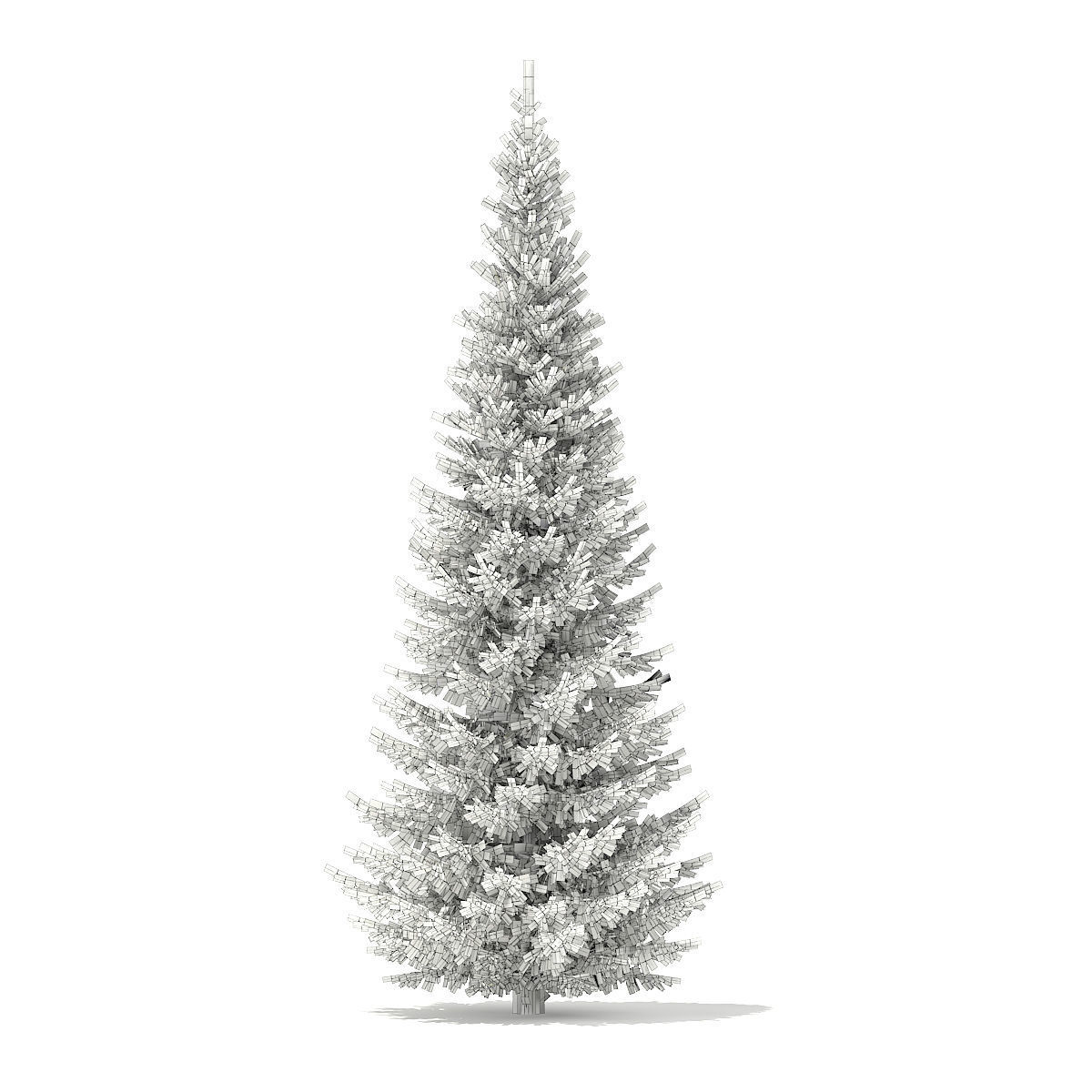 Norway Spruce Picea abies 7m 3D model_2