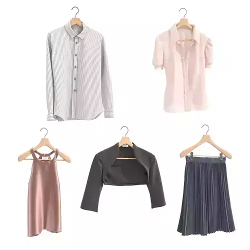 Clothing on Hanger 11