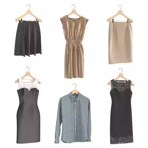 Clothing on Hanger 12