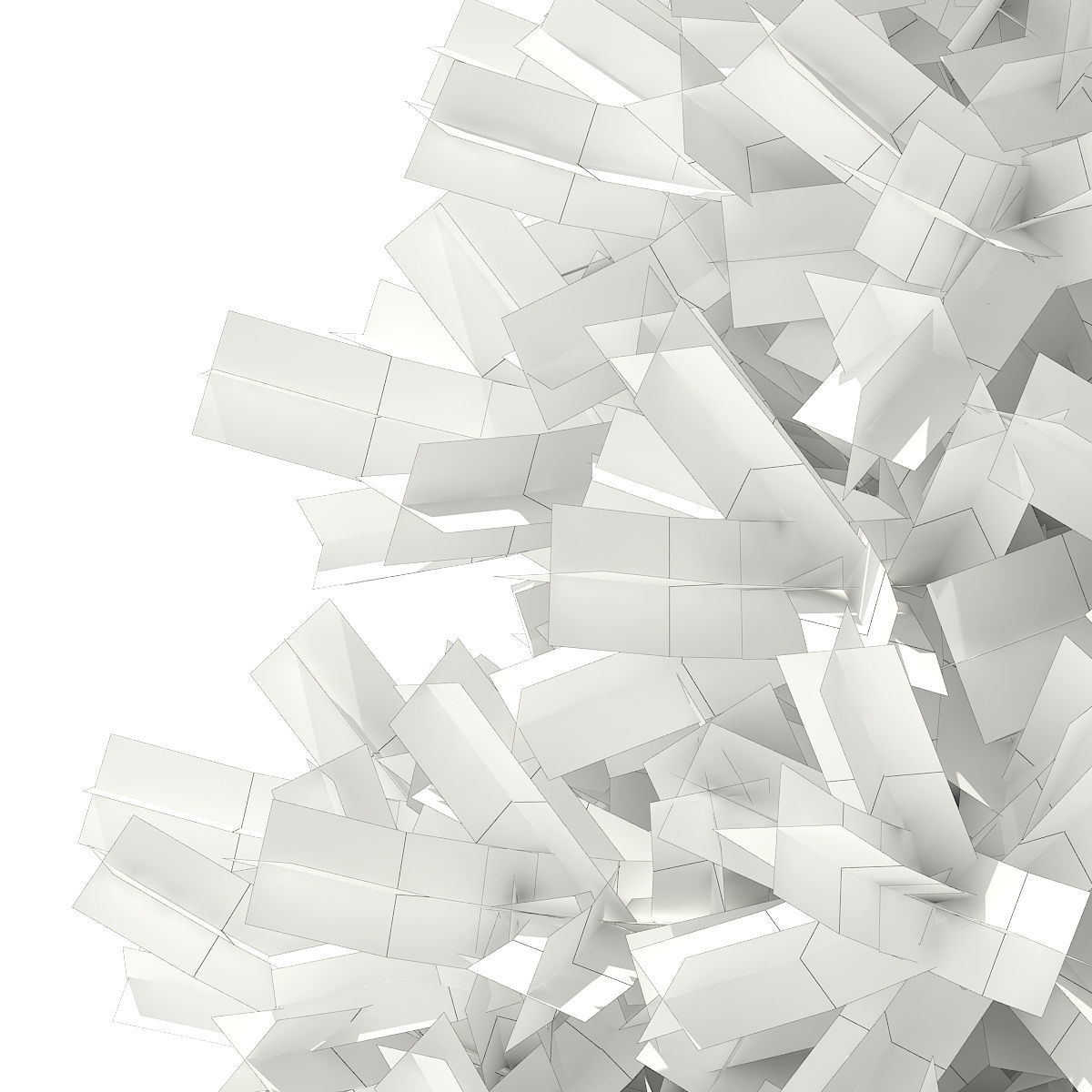 Blue Spruce Picea pungens 1m 3D model_7