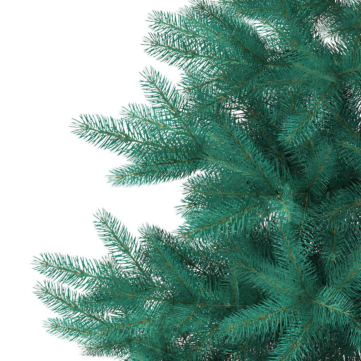 Blue Spruce Picea pungens 1m 3D model_6