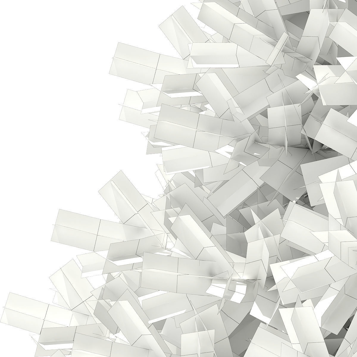 Blue Spruce Picea pungens 2m 3D model_7