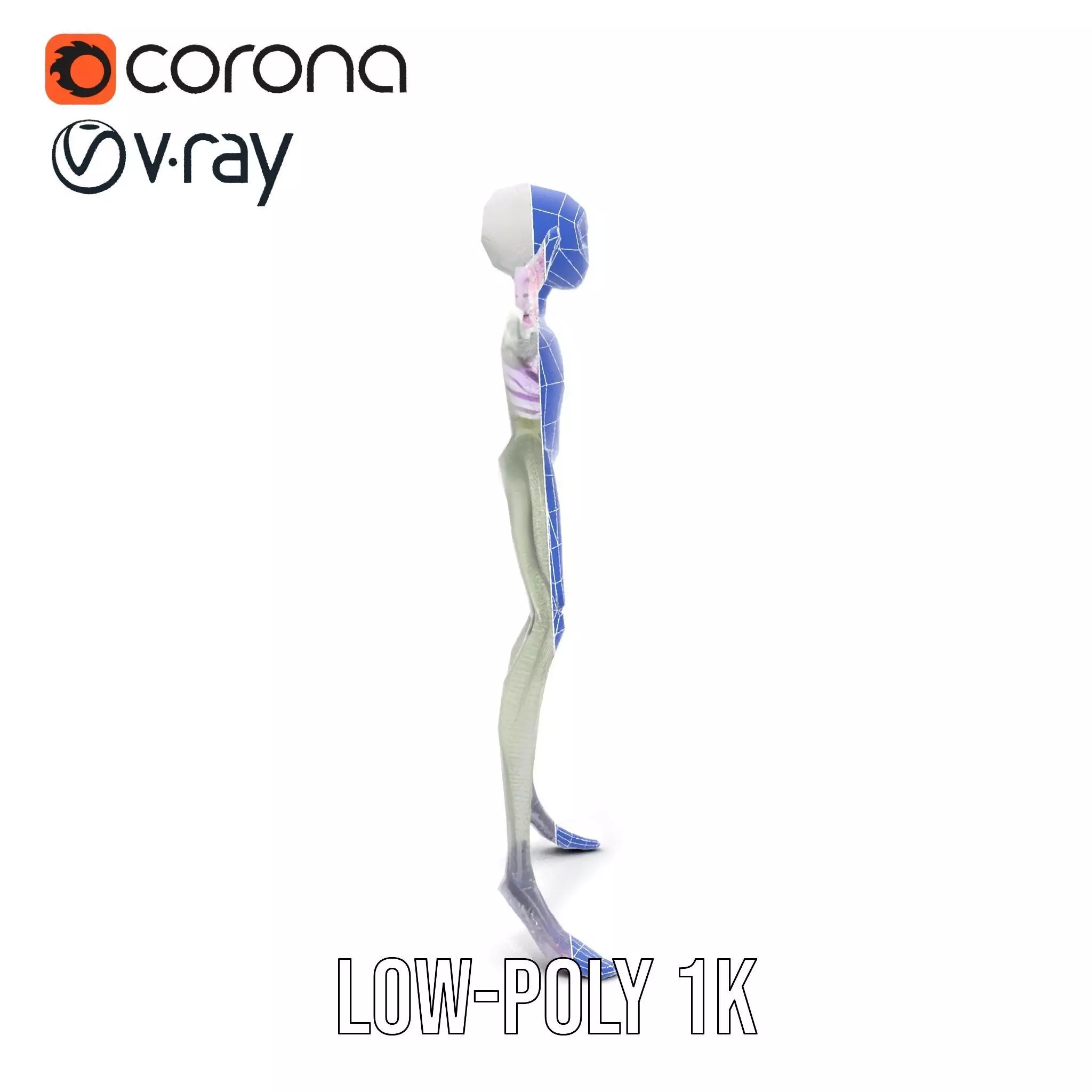 Alien Creature Gray model pack Low-poly 3D model_26