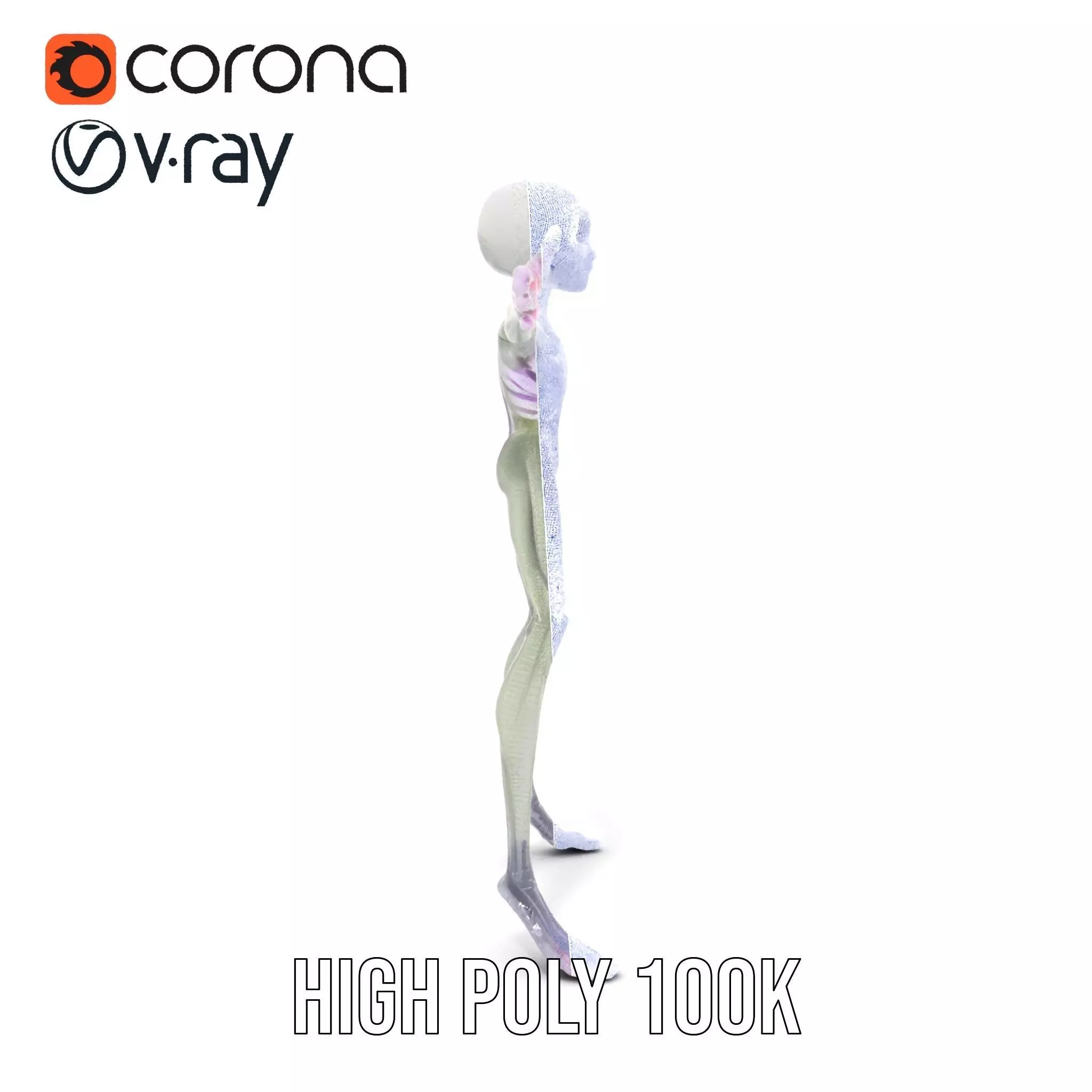 Alien Creature Gray model pack Low-poly 3D model_29