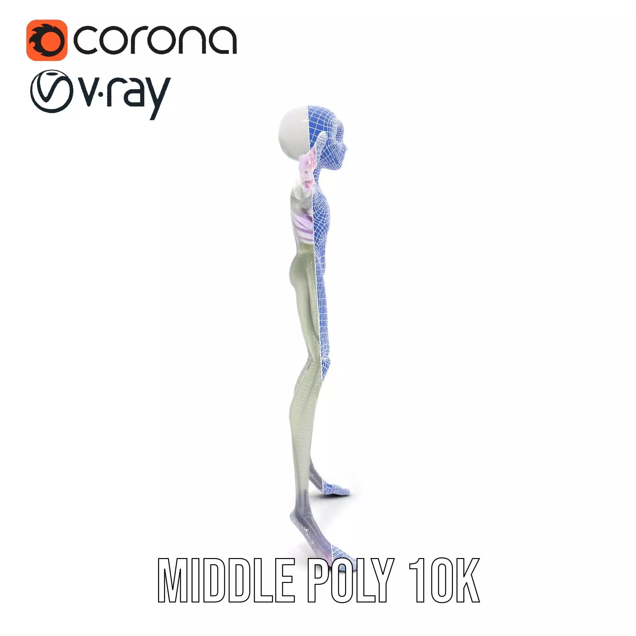 Alien Creature Gray model pack Low-poly 3D model_30