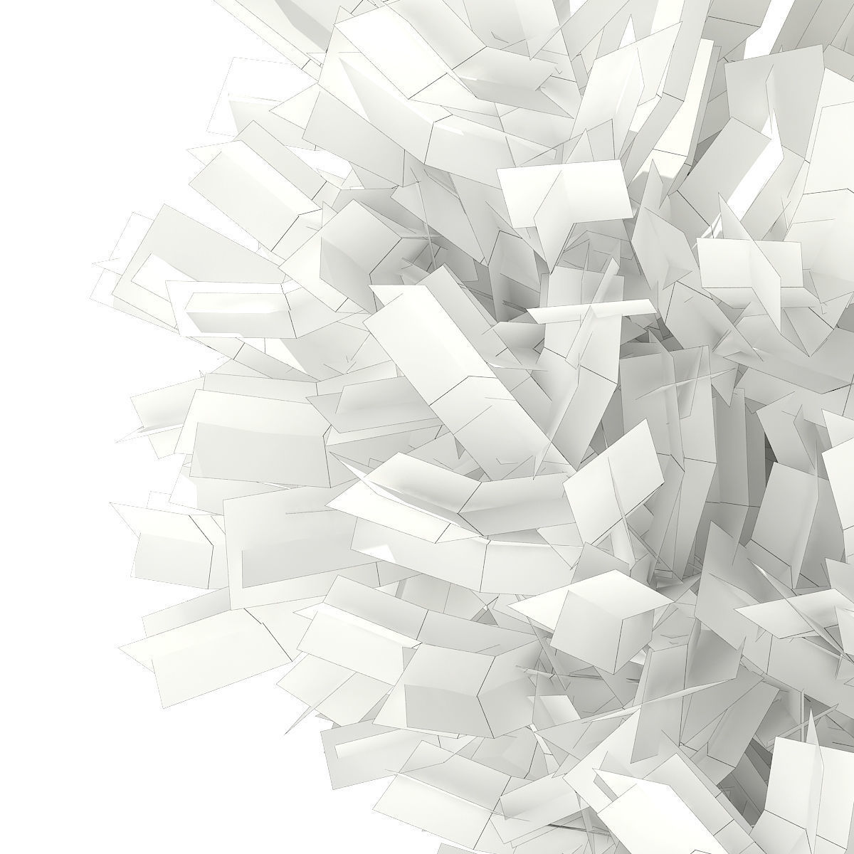 European Yew Taxus baccata 1m 3D model_7