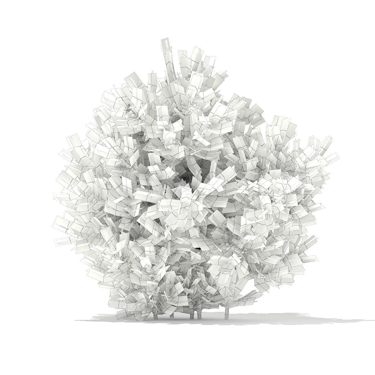 European Yew Taxus baccata 1m 3D model_1