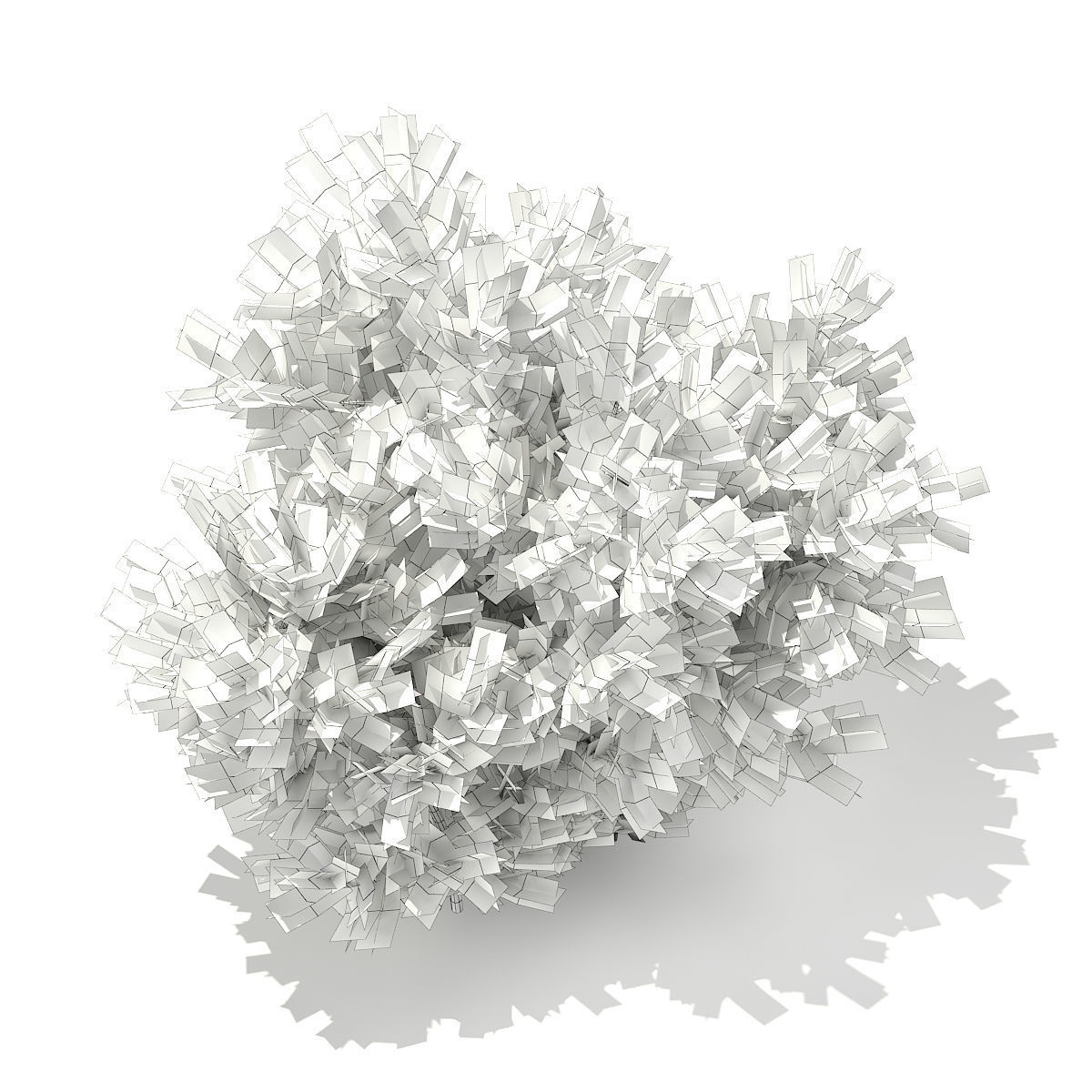 European Yew Taxus baccata 1m 3D model_5