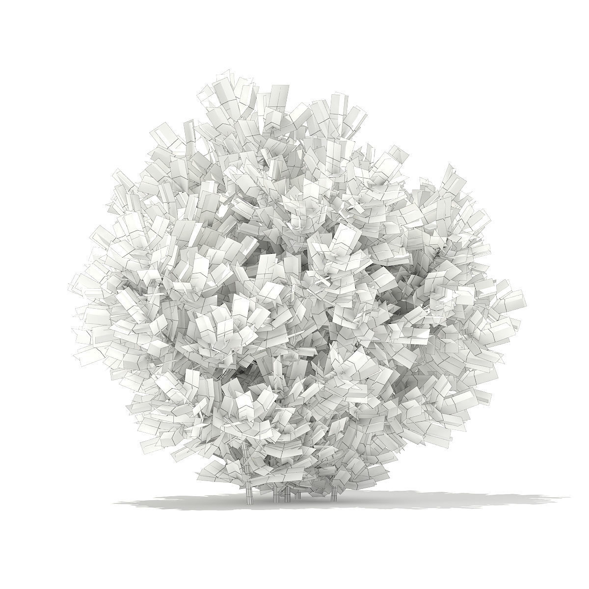 European Yew Taxus baccata 1m 3D model_3