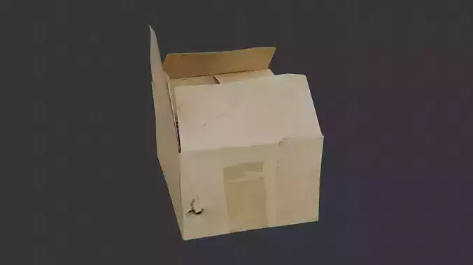Cardboard Box with Open Flaps