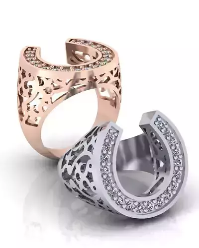 horseshoe jewelry ring