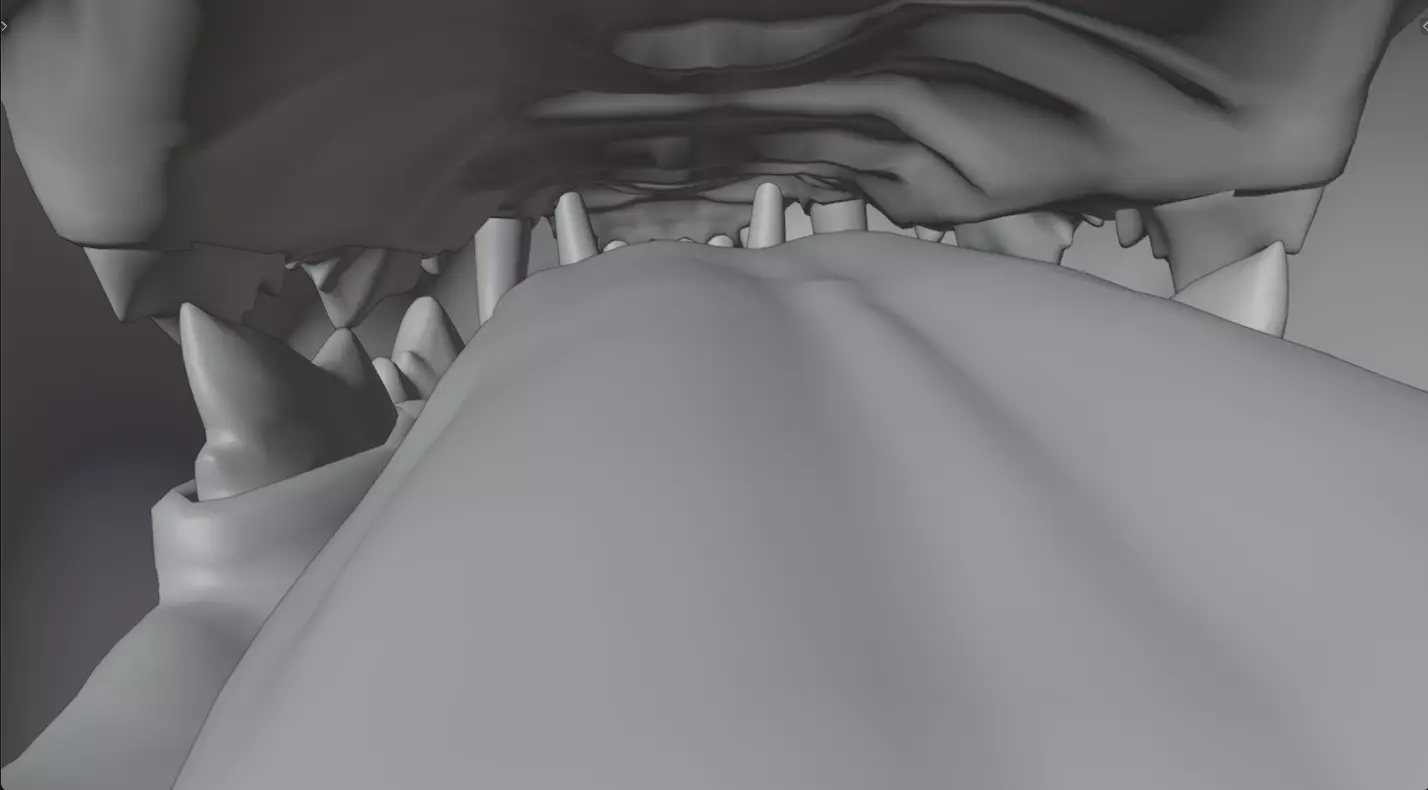 grey Tabby cat Low-poly 3D model_11