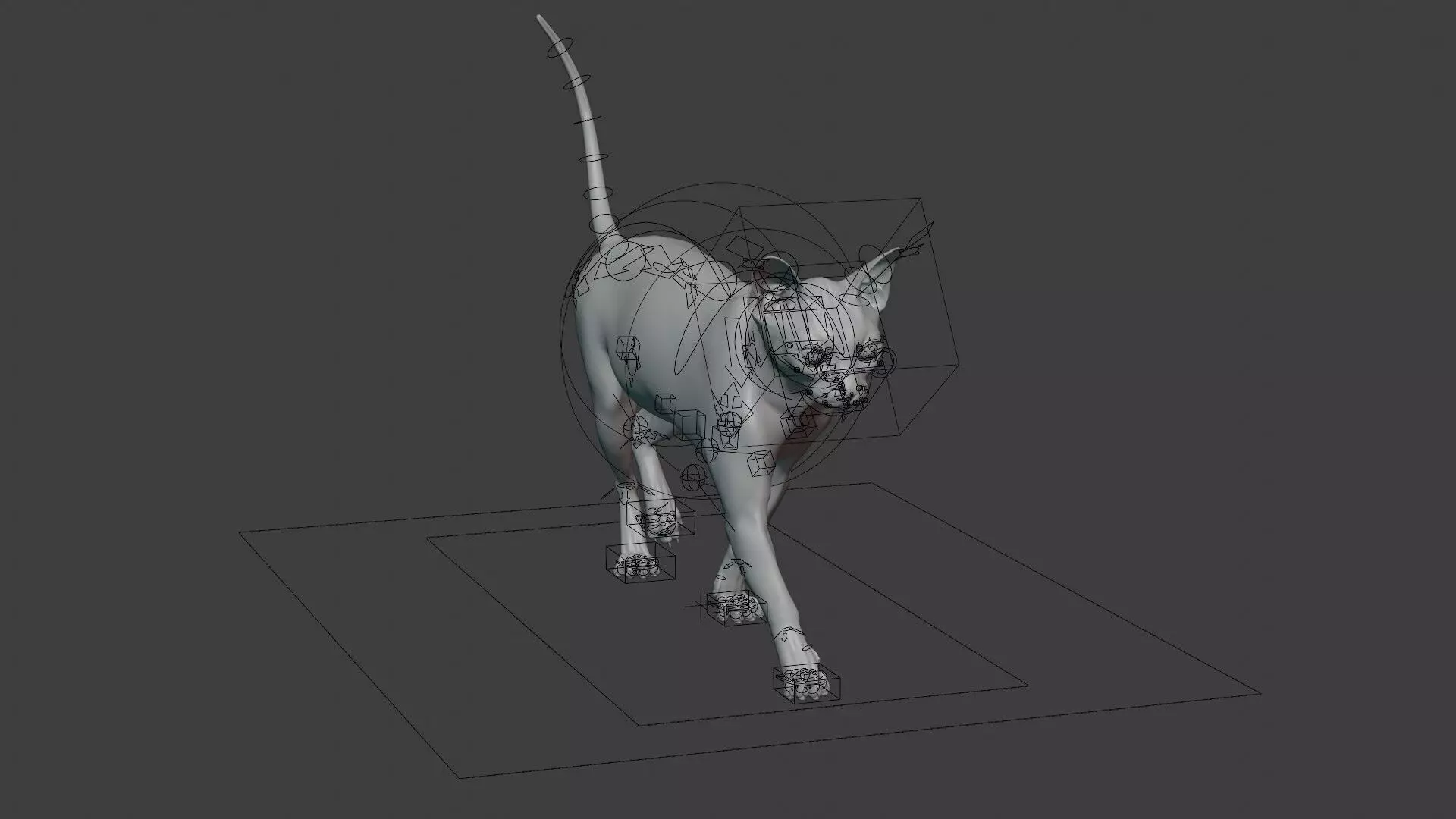 grey Tabby cat Low-poly 3D model_18