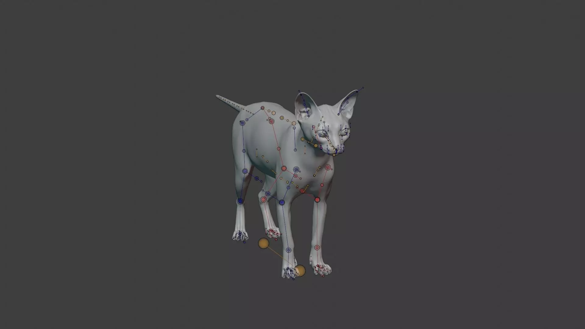 grey Tabby cat Low-poly 3D model_16