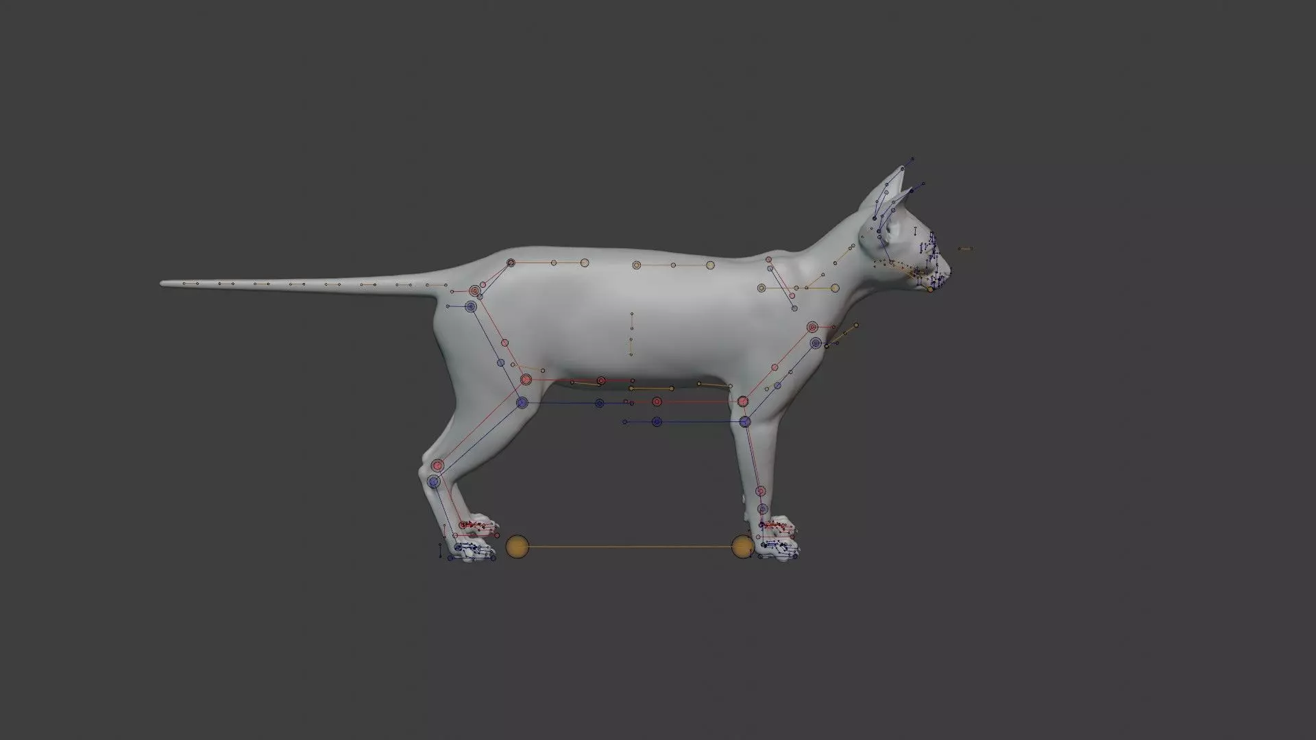 grey Tabby cat Low-poly 3D model_17