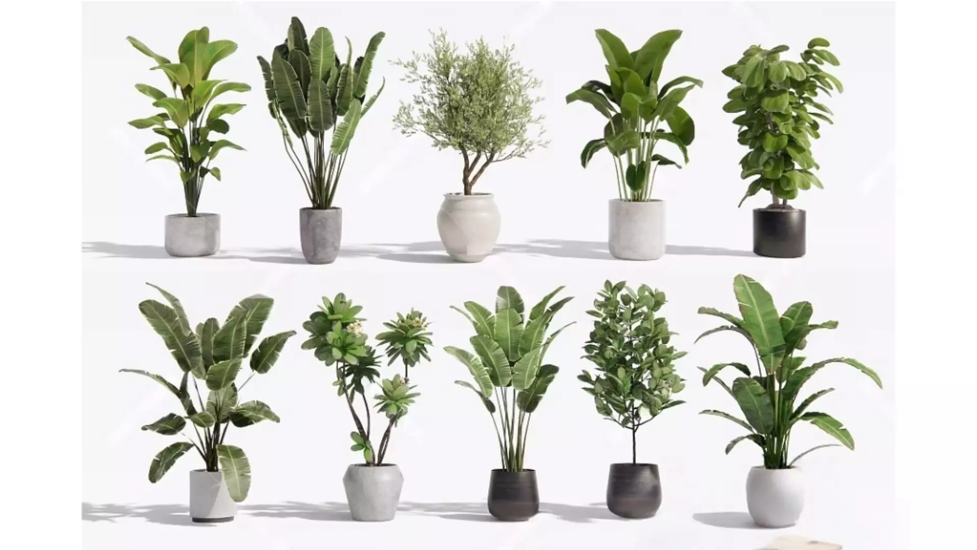 Diverse combinations of potted plants and plants 3D model_0